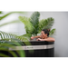 nuvie cold plunge benefits