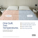 Dual-zone eucalyptus quilt bedroom lifestyle