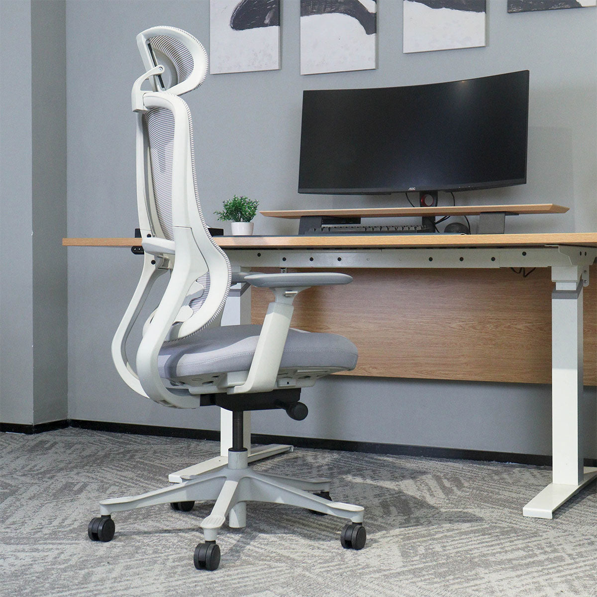 Lifespan Fitness DM8 Ergonomic Office Desk Chair (White/Grey)