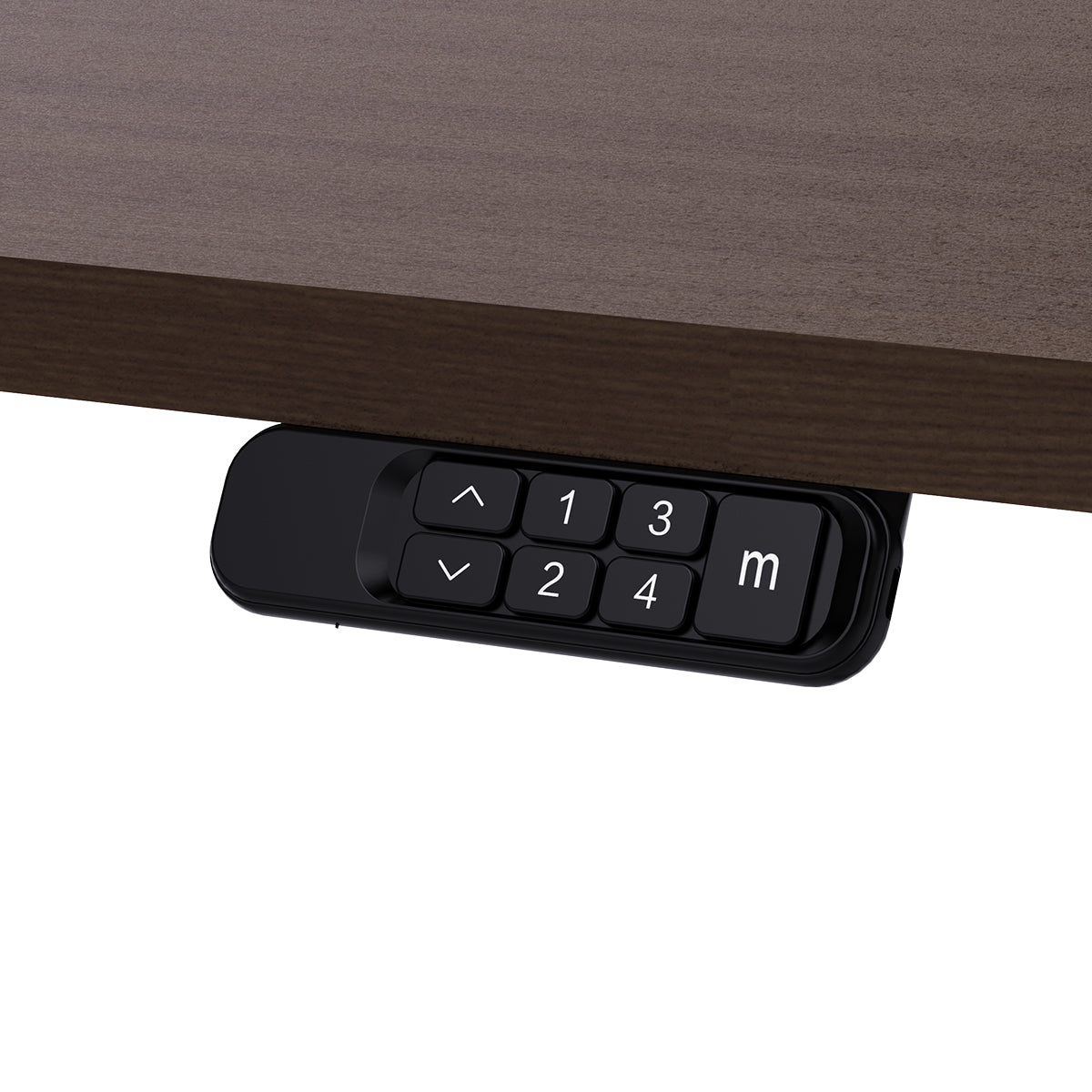 Lifespan Fitness ErgoDesk Electric Standing Desk 160cm (Walnut/Black)