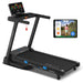 Lifespan Fitness Pursuit 4 Treadmill - Console Detail