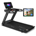 Lifespan Fitness Viper 5 Smart Treadmill