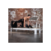 pilates_bed